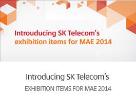 MAE2014