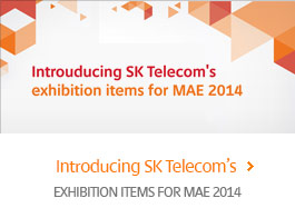 MAE2014